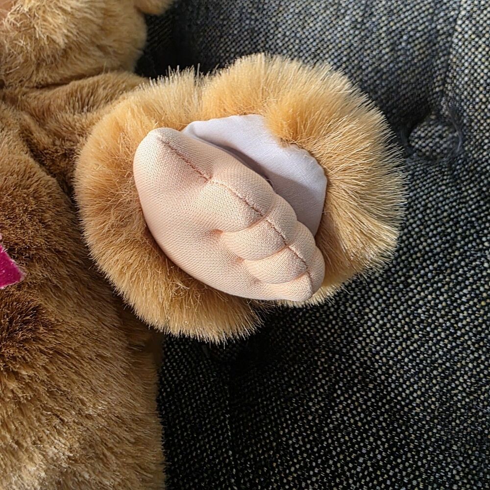 1998 Special Friends Kuddle  Plush Bear Stuffed Animal Toy Vintage - Picture 7 of 10